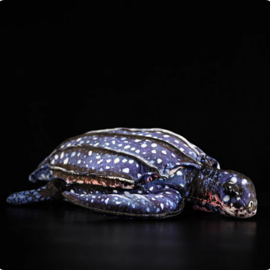 Real Leather Turtle Doll, Cute Turtle Doll | Magic Stories