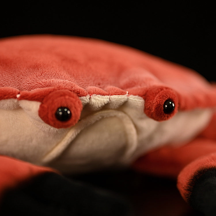 Brown Crab Doll Plush Toys | Magic Stories