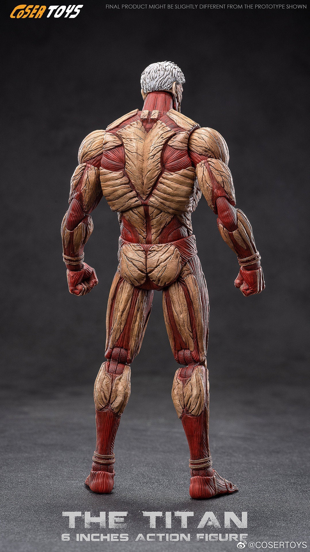 Coser Toys (VTOYS) Armored Titan Action Figure — back view