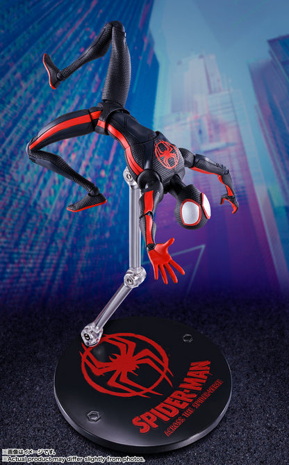 Across the Spider-Verse S.H.Figuarts Duo — Spider-Gwen + Miles Morales — back view